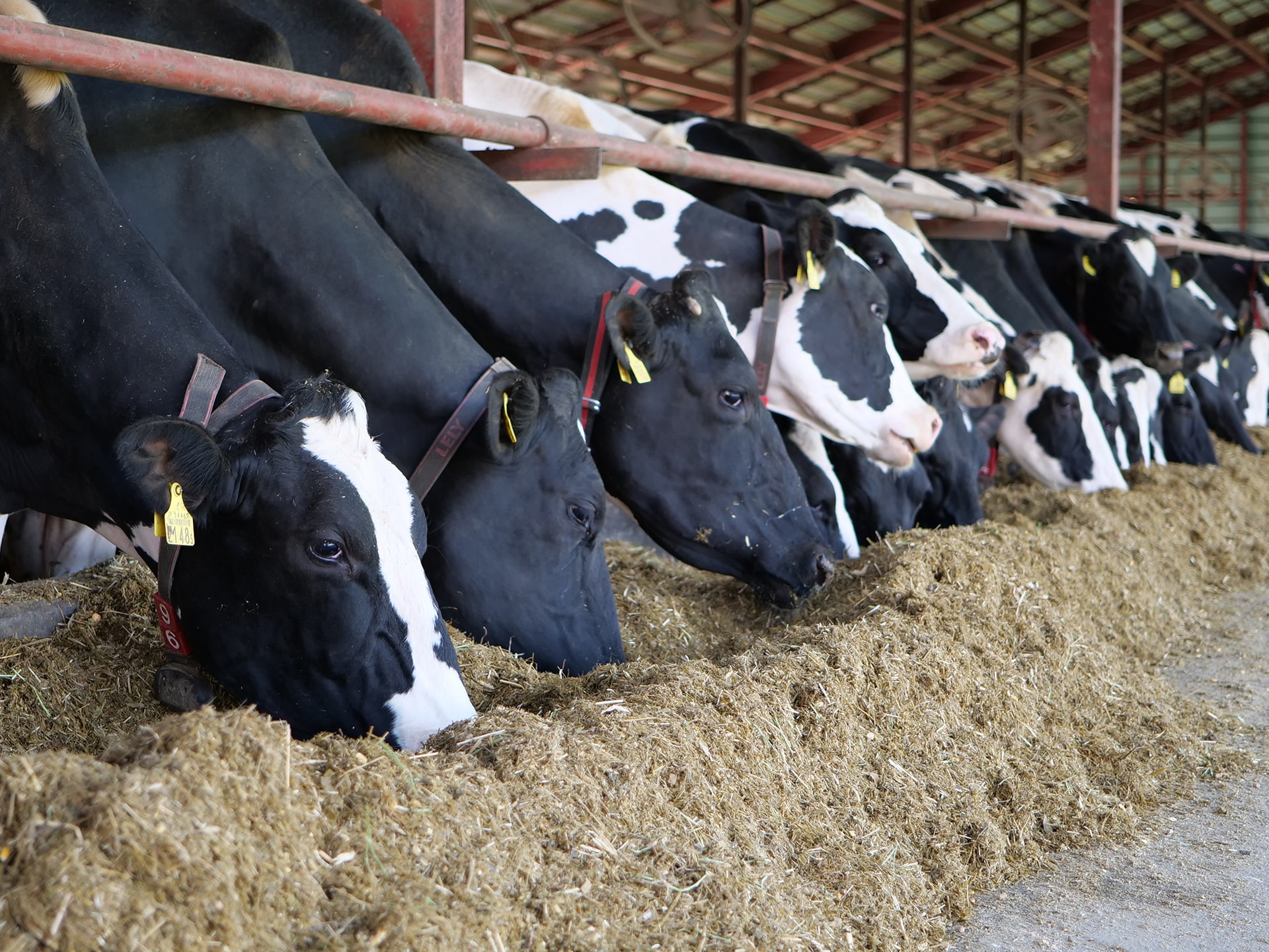 株式会社エスツーファーム